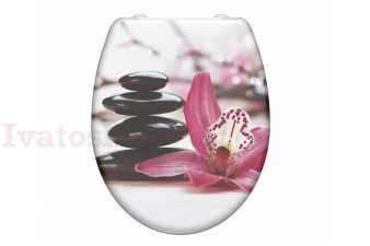 Schütte Schütte WELLYNESS | Duroplast, Soft Close Obrázok pre Schütte Schütte WELLYNESS | Duroplast, Soft Close