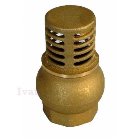 Obrázok pre Celomosadzný sací kôš so spätnou klapkou 6/4"